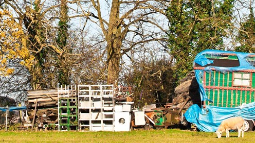 shutterstock_110375009_496x280