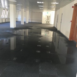 13001133_1012802658816312_4014976802960080175_n