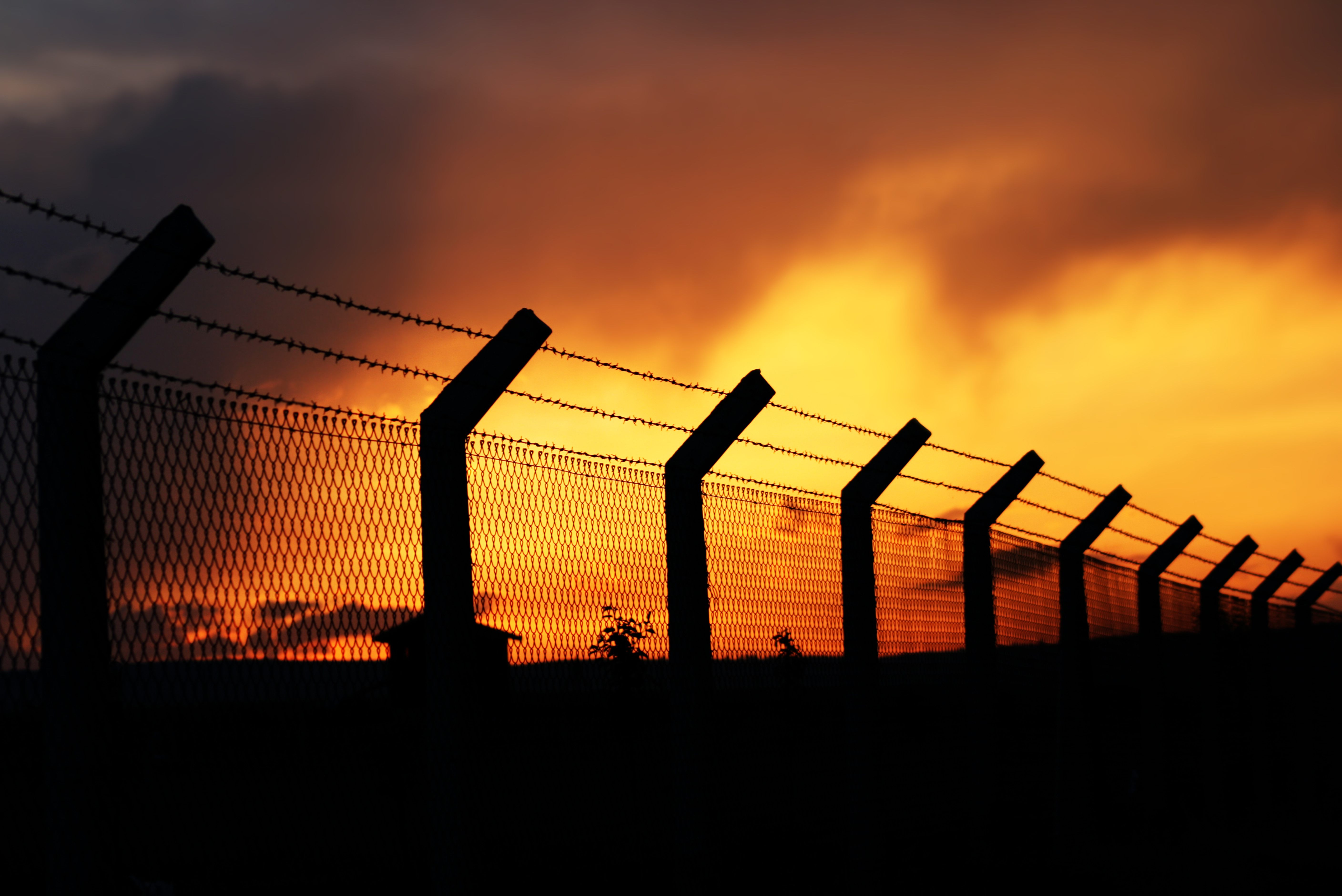 shutterstock_68939158