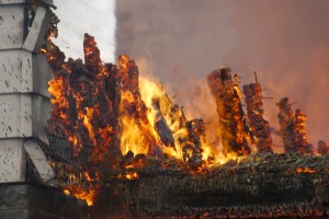 shutterstock_1148653