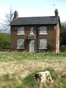 shutterstock_50838028