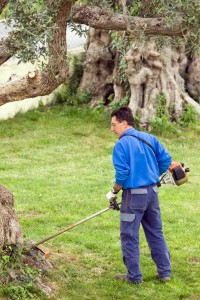 shutterstock_81837922